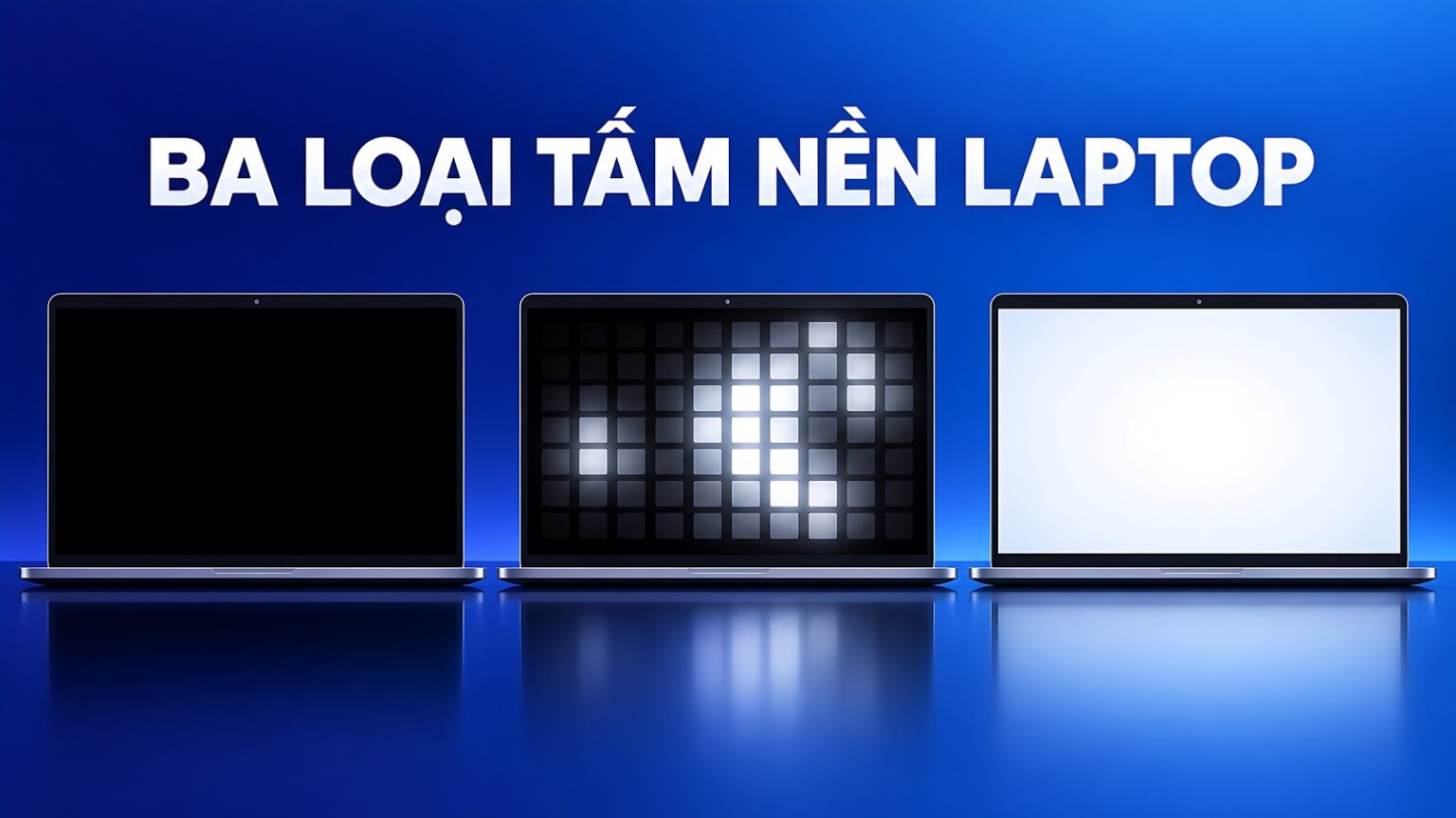 Ba loại tấm nền OLED Mini-LED IPS trên laptop 2026 khác nhau ra sao