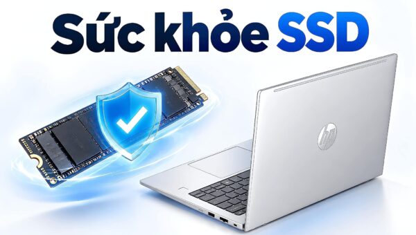 Sức khỏe SSD tụt nhanh - Đọc Percentage Used trên CrystalDiskInfo